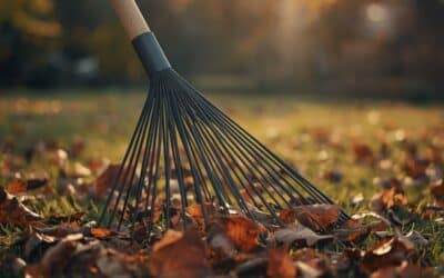 Entretien saisonnier du jardin : que faire au printemps / en automne / en hiver